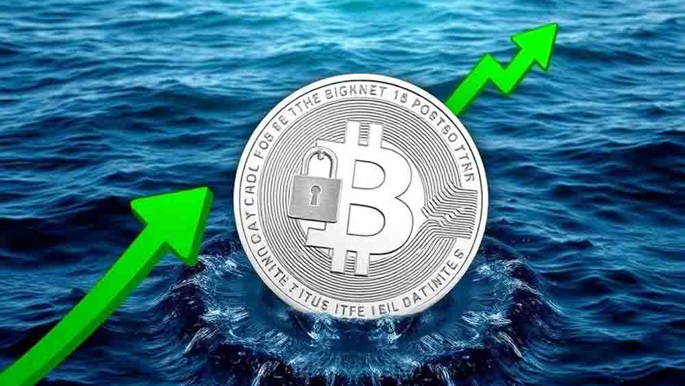 Best 7 Low Risk Digital Coins for Cautious New Investors