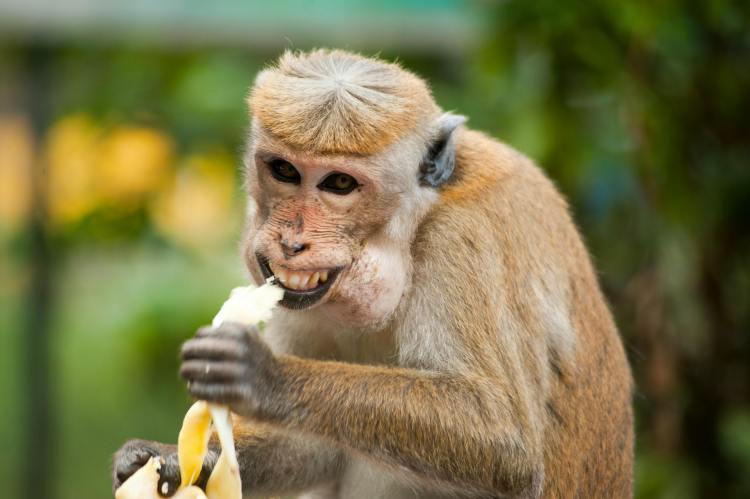 Bitcoin Hodlers vs. Traders: A Heated Debate Erupts